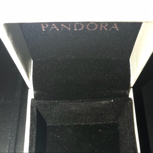 EMPTY Pandora Box - Picture 2 of 2